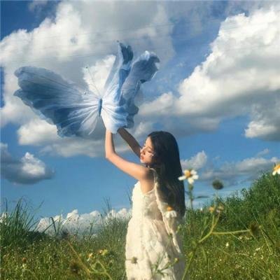 风流世家